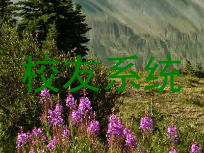 校友系统