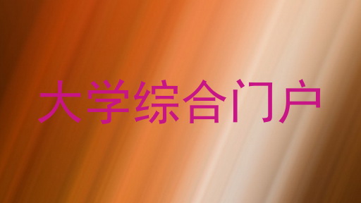 大学综合门户