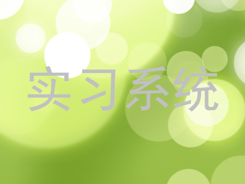 实习系统