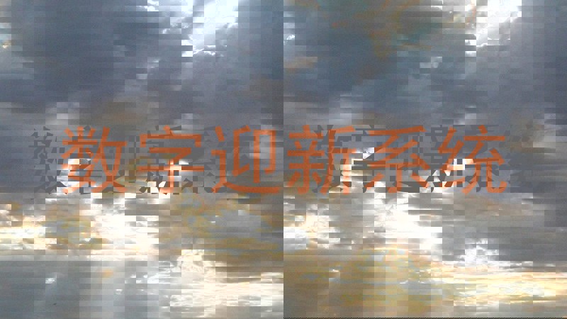 数字迎新系统