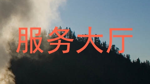 服务大厅
