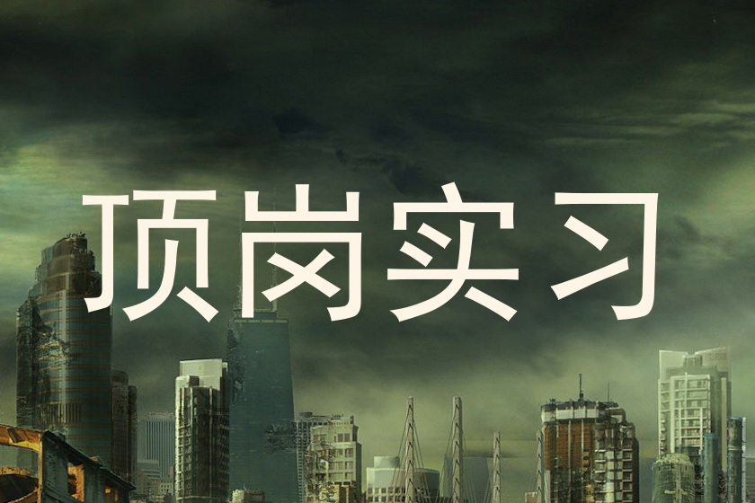 顶岗实习
