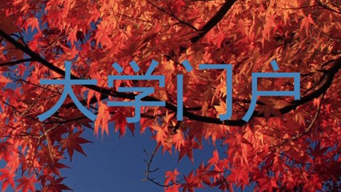 大学门户