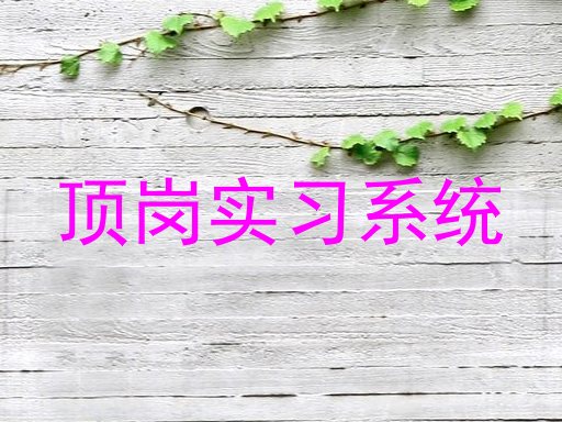 顶岗实习系统