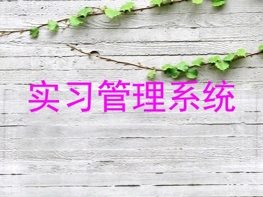 实习管理系统