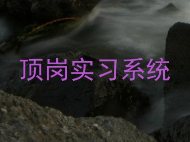 顶岗实习系统