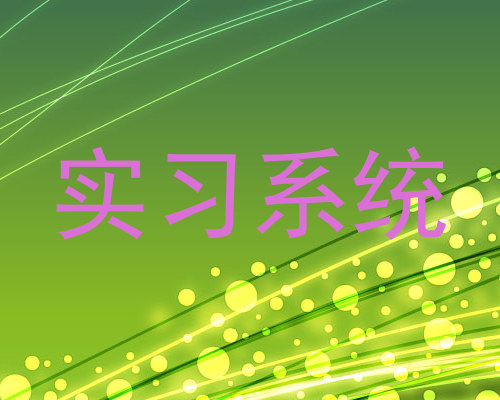 实习系统