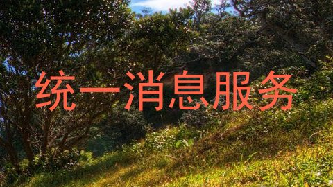 统一消息服务