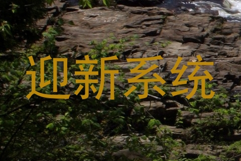 迎新系统