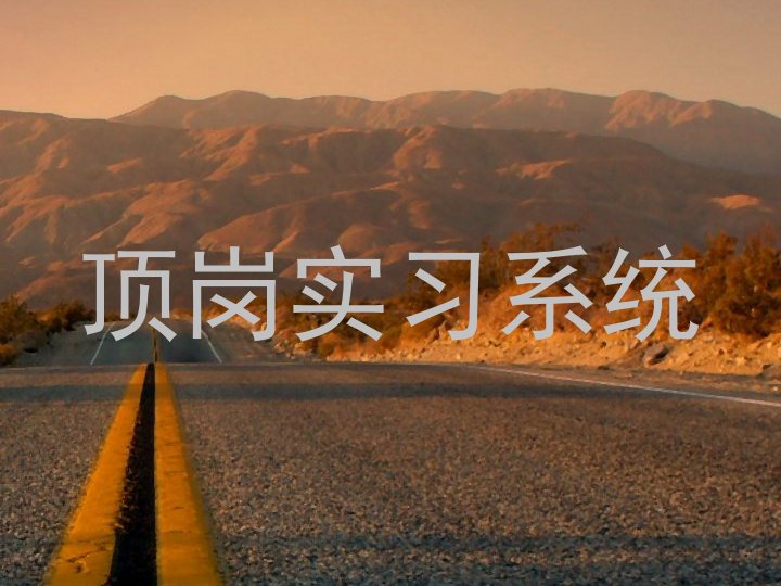 顶岗实习系统