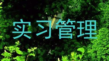 实习管理