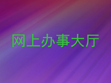 网上办事大厅