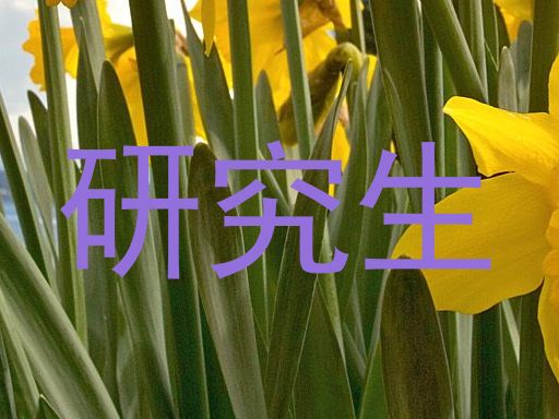 研究生