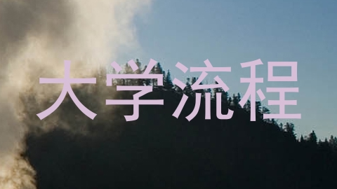 大学流程