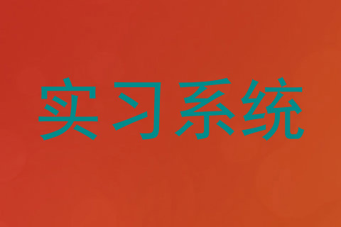 实习系统