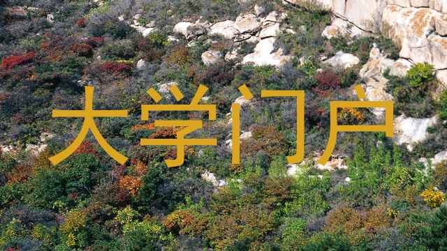 大学门户