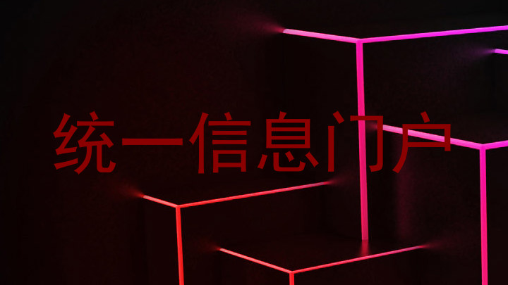 统一信息门户