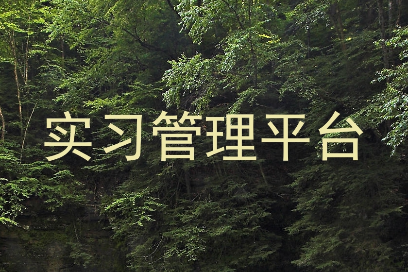 实习管理平台