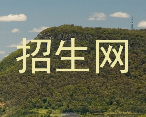 招生网