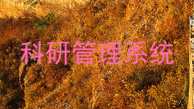 科研管理系统
