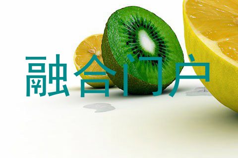 融合门户