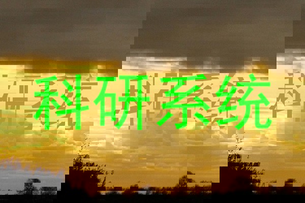 科研系统