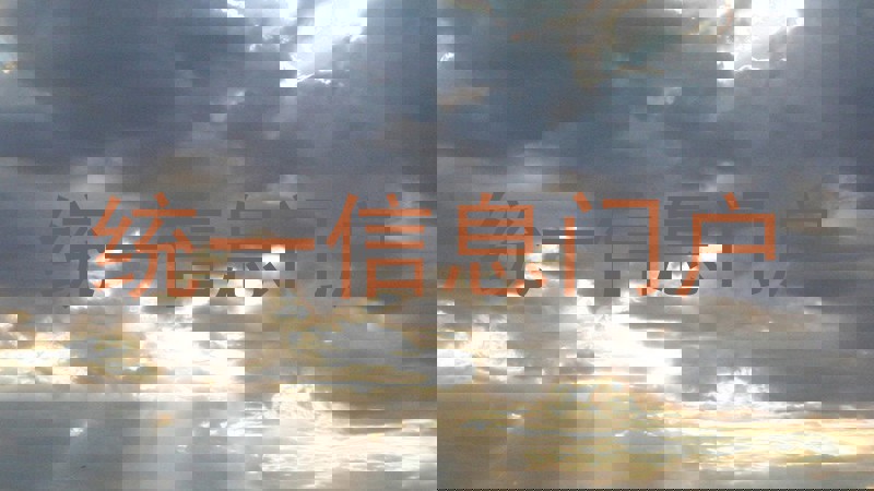 统一信息门户