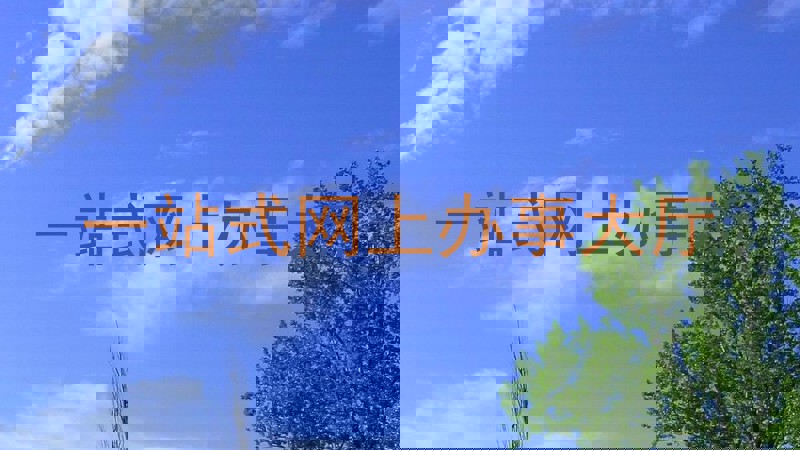 一站式网上办事大厅