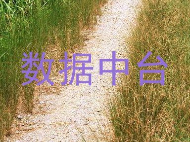 数据中台