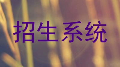 招生系统