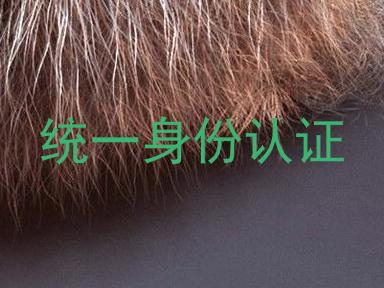 统一身份认证