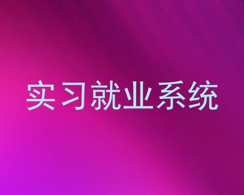 实习就业系统