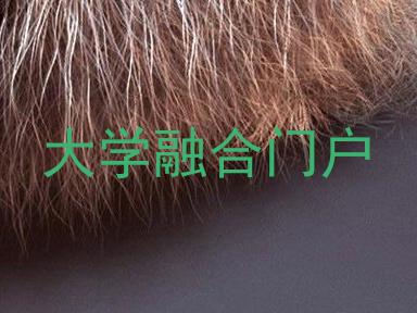 大学融合门户