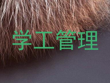 学工管理