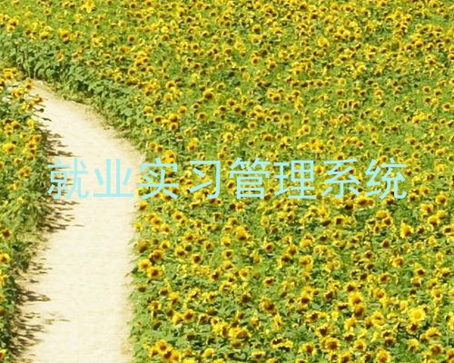 就业实习管理系统