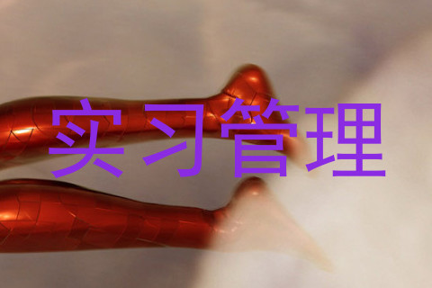 实习管理