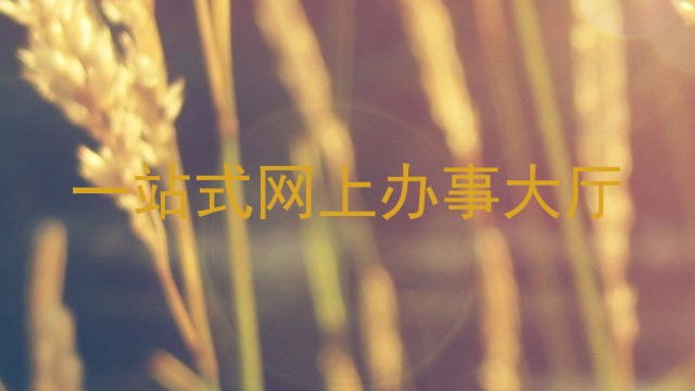 一站式网上办事大厅