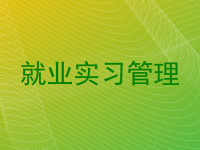 就业实习管理