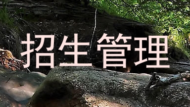 招生管理