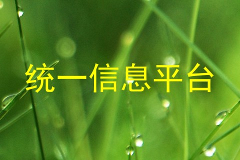 统一信息平台