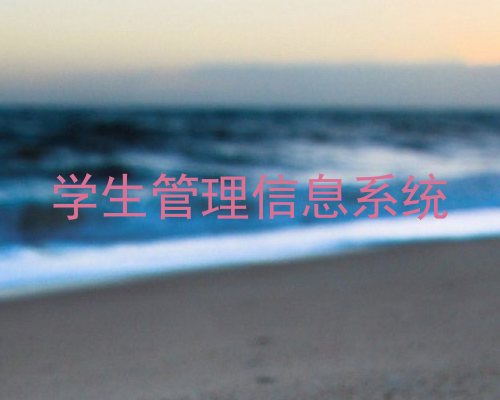 学生管理信息系统