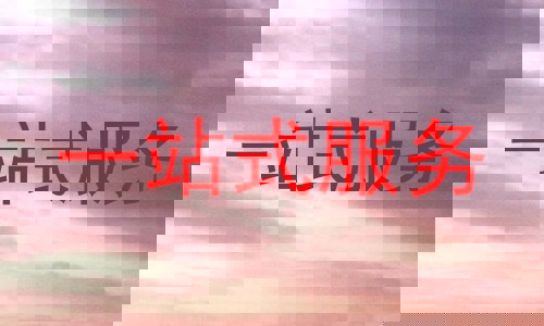 一站式服务