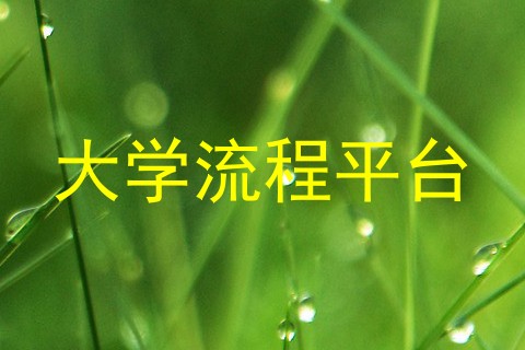 大学流程平台