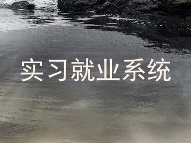 实习就业系统