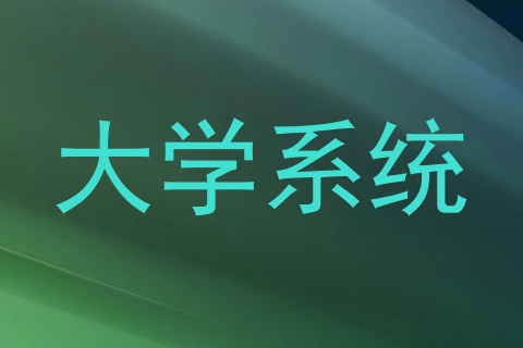 大学系统