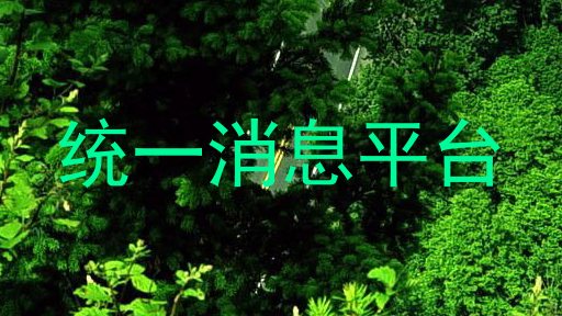 统一消息平台