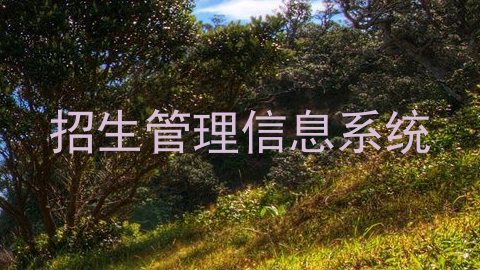 招生管理信息系统
