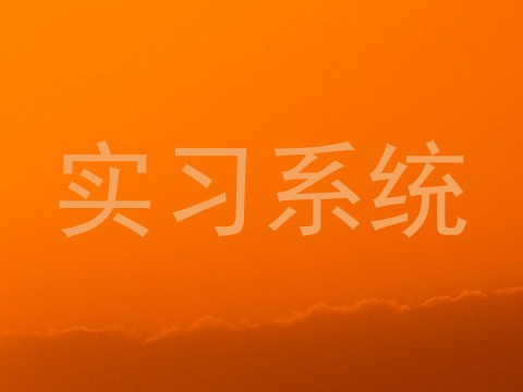 实习系统
