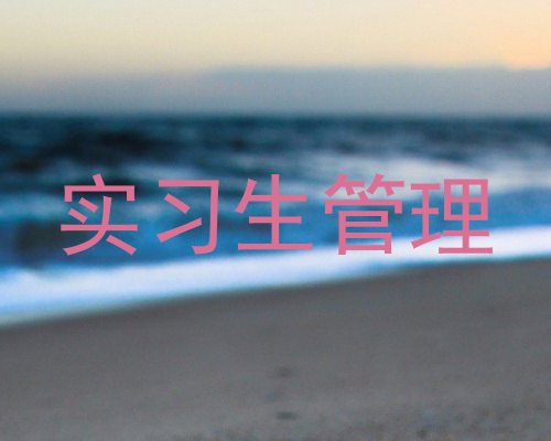 实习生管理