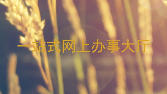 一站式网上办事大厅